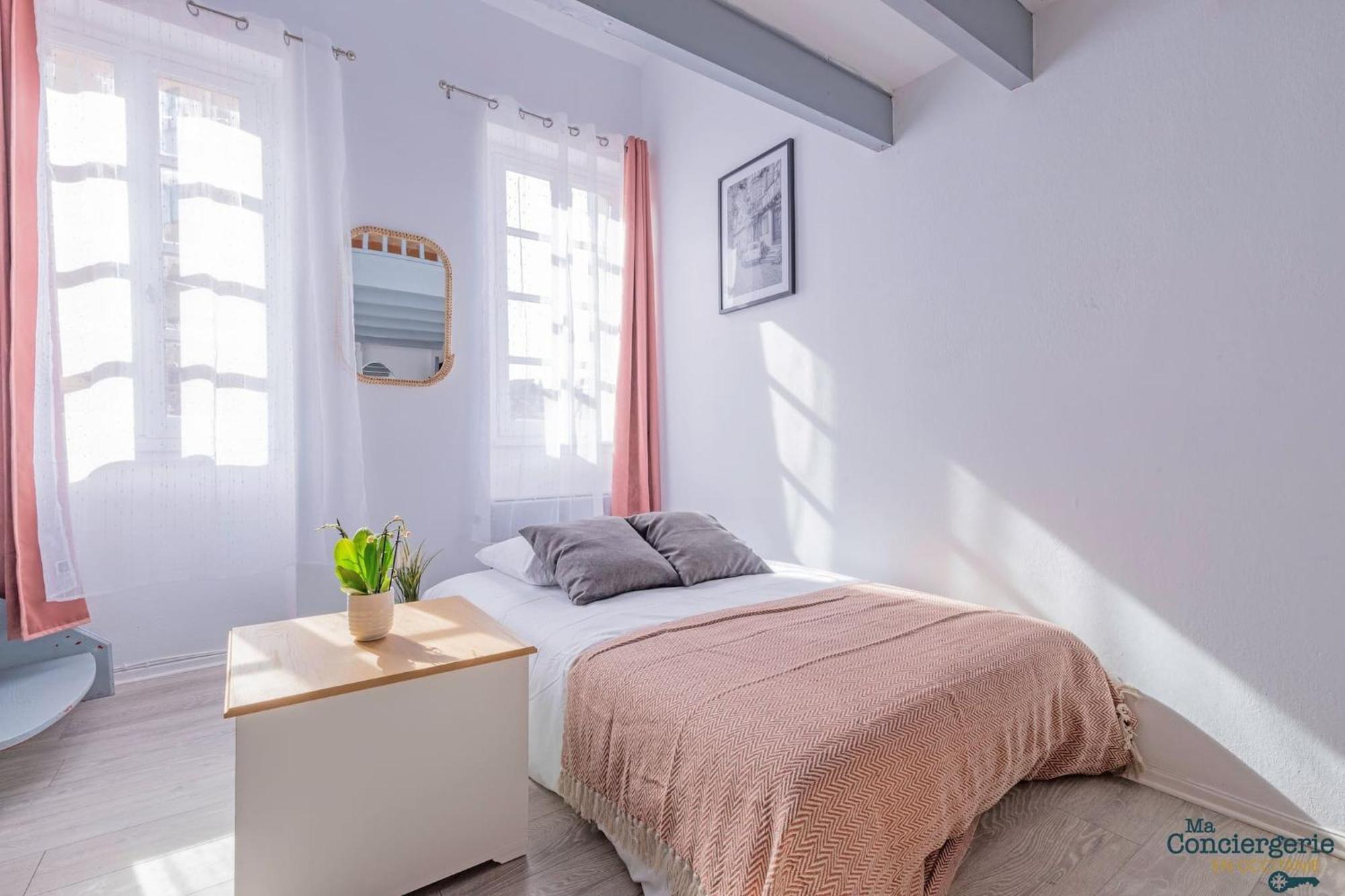 Апартаменты Duplex Champetre : Gare, Marche, Hypercentre Тулуза Экстерьер фото